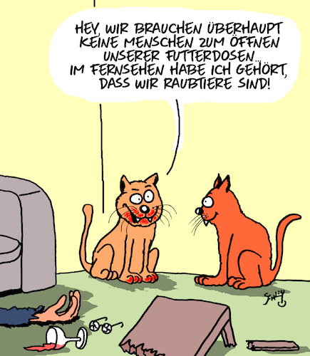 Katzenfutter