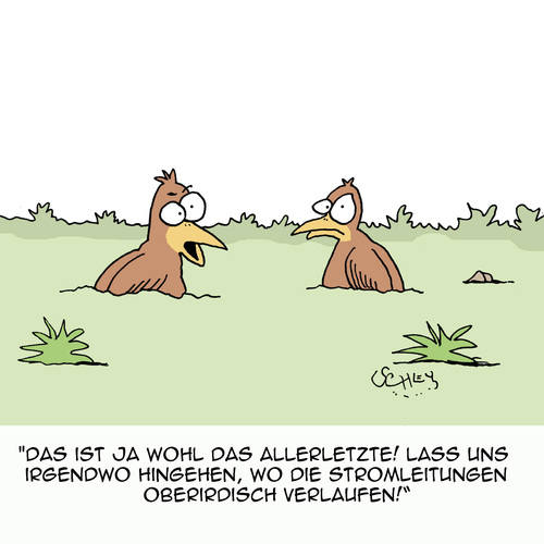 Cartoon: Lass abhauen! (medium) by Karsten Schley tagged vögel,tiere,stromleitungen,überlandleitungen,energie,migration,natur,zugvögel,migration,energie,überlandleitungen,stromleitungen,tiere,vögel,natur,zugvögel