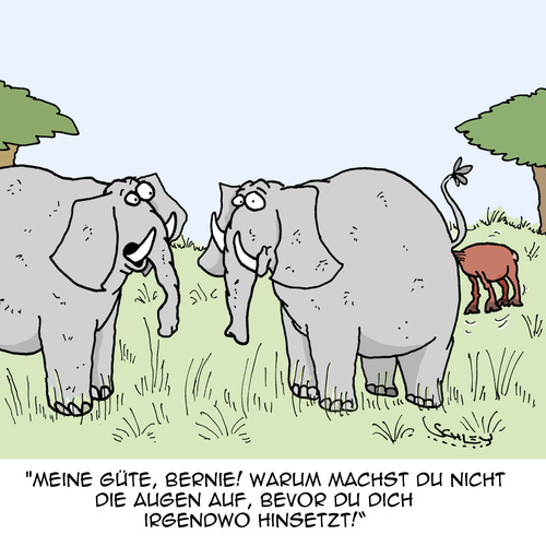 Cartoon: Mach die Augen auf!! (medium) by Karsten Schley tagged natur,wildnis,tiere,afrika,serengeti,wildtiere,elefanten,antilopen,umwelt,natur,wildnis,tiere,afrika,serengeti,wildtiere,elefanten,antilopen,umwelt