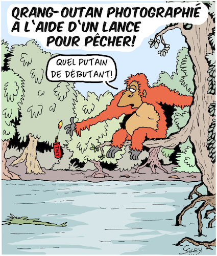 Orang-Outan avec une lance!!