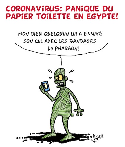 panique du papier toilette