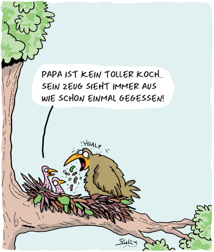 Papa kocht...