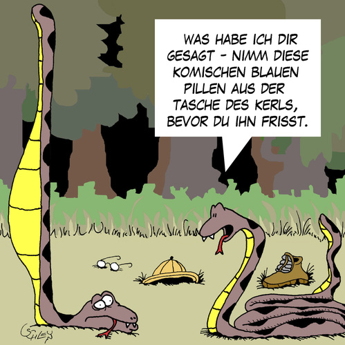 Cartoon: Schlangen (medium) by Karsten Schley tagged natur,tiere,urwald,schlangen,nahrung,jagen,menschen,gesundheit,sexualität,männer,medikamente,natur,tiere,urwald,schlangen,nahrung,jagen,menschen,gesundheit,sexualität,männer,viagra,medikamente