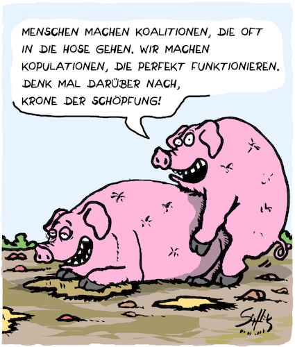 Schweine!