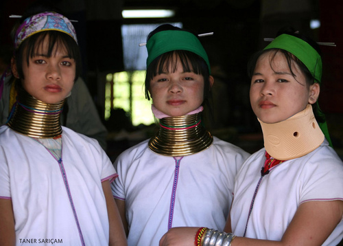 Cartoon: Padaung girls (medium) by tanerbey tagged padaung