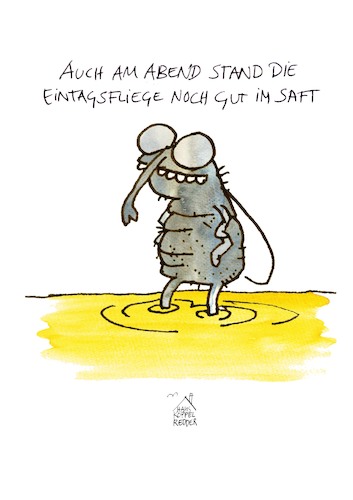 Cartoon: Eintagsfliege (medium) by Koppelredder tagged fliege,eintagsfliege,insekten,saft,sommer,leben,alter,tod,fliege,eintagsfliege,insekten,saft,sommer,leben,alter,tod