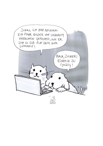 Cartoon: Süße Hunde und Katzen (medium) by Koppelredder tagged süß,hunde,katzen,hundebabys,katzenbabys,internet,facebook,postings,socialmedia,herrchen,fotos,süß,hunde,katzen,hundebabys,katzenbabys,internet,facebook,postings,socialmedia,herrchen,fotos