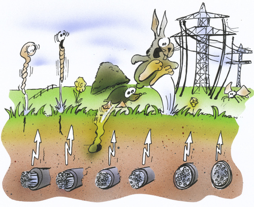 Cartoon: Erdkabel (medium) by HSB-Cartoon tagged strom,energie,stromkabel,energy,elektrizität,volt,natur,umwelt,spannung,würmer,maulwurf,hase,kanninchen,strommast,offshore,nordsee,stromquelle,windrad,karikatur,hsb,auirbrush,strom,energie,stromkabel,elektrizität,natur,umwelt,spannung,würmer,maulwurf,hase,kanninchen,strommast,nordsee,stromquelle,windrad