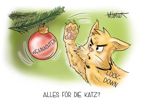 Alles für die Katz?