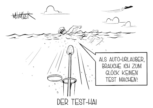 Der Test-Hai