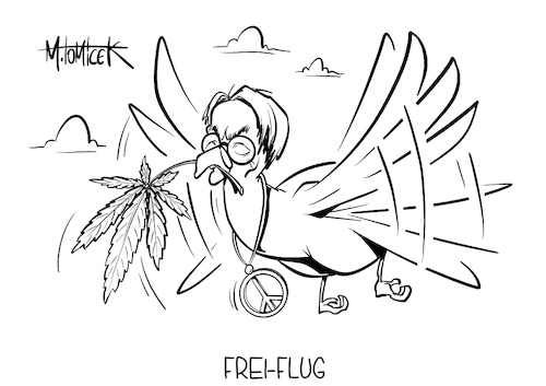 Frei-Flug