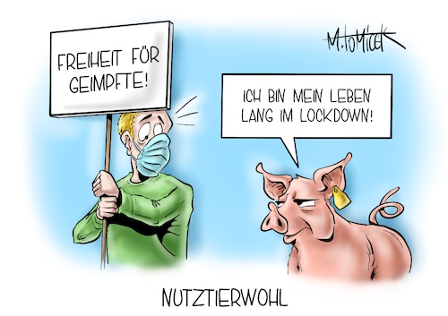 Nutztierwohl