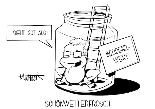 Schönwetterfrosch