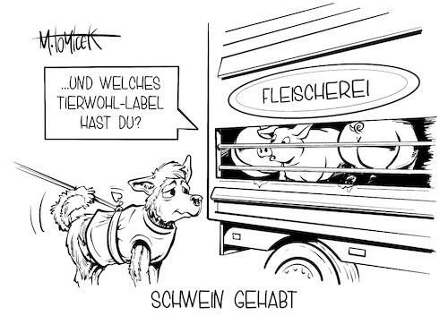 Schwein gehabt