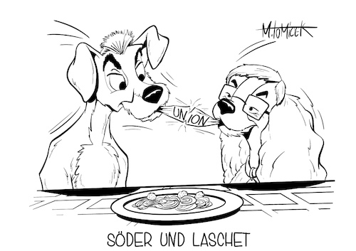 Söder und Laschet