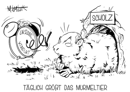 Täglich grüßt das Murmeltier