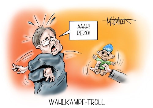 Wahlkampf-Troll