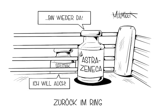 Zurück im Ring