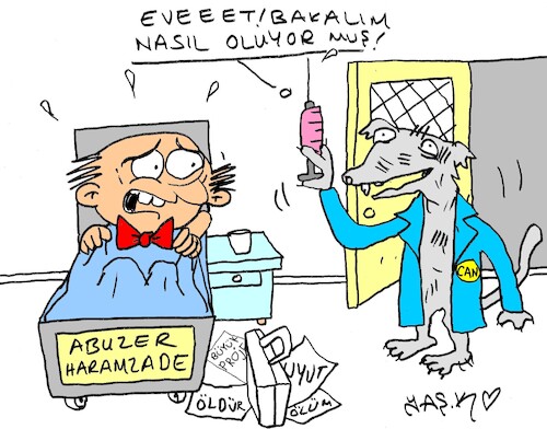 Cartoon: dogs will be put to sleep (medium) by yasar kemal turan tagged dogs,will,be,put,to,sleep