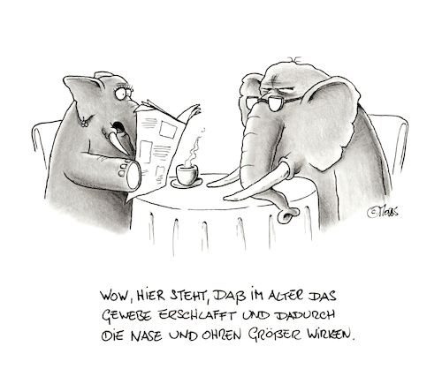 Cartoon: Elefantenhaut (medium) by MosesCartoons tagged alt,altern,nase,ohren,elefant,elefanten,alt,altern,nase,ohren,elefant,elefanten