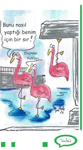 Cartoon: Flamingolar (medium) by TomPauLeser tagged flamingolar,hayvanat,bahcesi,hava,atmak