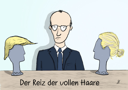 Reiz der vollen Haare