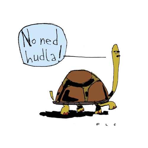 No ned hudla