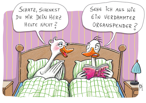 Cartoon: Organspende (medium) by Rebecca-Meyer tagged organspenden,mehrheit,entscheidungslösung,herz,gänse,bett,paar,schenk,mir,dein,organspendenpraxis,mangel,spenderorgane,beratung,spendenbereitschaft,deutschen,stiftung,organtransplantation,dso,hirntod,voraussetzung,vertrauenslösung,statt,widerspruchsregelung,tabuthema,sterblichkeit,freiwillig,und,selbstbestimmt,entscheiden,organspenden,mehrheit,entscheidungslösung,herz,gänse,bett,paar,schenk,mir,dein,organspender,mangelorganspendenpraxis