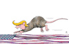 Cartoon: USA-Wahlen 2024 (small) by Rebecca-Meyer tagged schock,wahl,amerika,us,präsident,trumps,sieg,und,harris,niederlage,america,first,biden,bundesregierung,bietet,zusammenarbeit,republikaner,konfrontation,wiederwahlinternationalen,gemeinschaft,washington,weiße,haus,ratte,flagge,wahlkampf,macht,senattrump,2024,präsidentschaftswahl