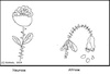 Cartoon: Neurose - Altrose (small) by Stiftewürger tagged neurose,altrose,psyche,seele,leiden,wortspiel,sprache