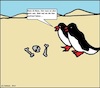 Cartoon: Glatt... (small) by Kritzelfreak1978 tagged glatt,glatteis,wüste,pinguine