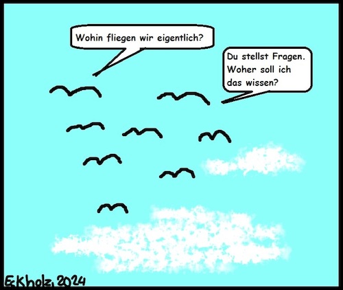 Cartoon: Du stellst Fragen... (medium) by Schwabbel tagged vögel