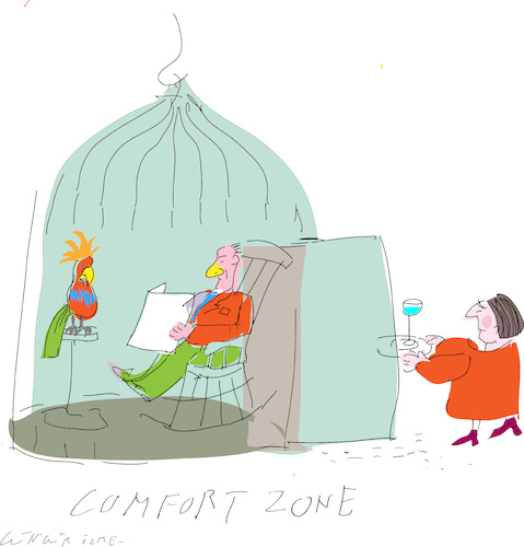 Comfort Zone