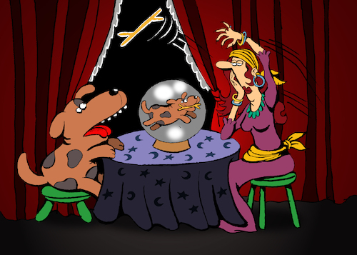 Cartoon: Fortune Teller... (medium) by berk-olgun tagged fortune,teller