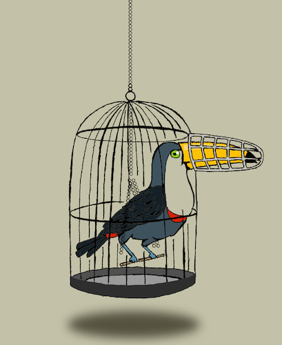 Cartoon: Toucan... (medium) by berk-olgun tagged toucan