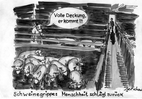 Cartoon: Schweinegrippe 2 (medium) by jerichow tagged skandal,inkubation,ansteckung,gesundheit,schweinegrippe,satire,schweinegrippe,gesundheit,ansteckung,skandal,inkubation,tiere krankheit,schweine,virus,tiere,krankheit