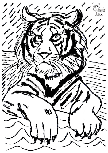 Cartoon: Tiger (medium) by Pascal Kirchmair tagged predator,raubkatze,predateur,felin,felino,fauve,predador,predatore,tiger,tigre,big,cat,cats,katzen,gatos,gatti,chats,illustration,ink,drawing,zeichnung,pascal,kirchmair,cartoon,caricature,karikatur,ilustracion,dibujo,desenho,ilustracao,illustrazione,illustratie,dessin,de,presse,tekening,teckning,cartum,vineta,comica,vignetta,caricatura,tusche,tuschezeichnung,portrait,retrato,porträt,ritratto,art,arte,kunst,artwork,predator,raubkatze,predateur,felin,felino,fauve,predador,predatore,tiger,tigre,big,cat,cats,katzen,gatos,gatti,chats,illustration,ink,drawing,zeichnung,pascal,kirchmair,cartoon,caricature,karikatur,ilustracion,dibujo,desenho,ilustracao,illustrazione,illustratie,dessin,de,presse,tekening,teckning,cartum,vineta,comica,vignetta,caricatura,tusche,tuschezeichnung,portrait,retrato,porträt,ritratto,art,arte,kunst,artwork