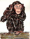 Cartoon: Schimpanse (small) by Pascal Kirchmair tagged chimpanzee,schimpanse,chimpanze,chimpance,scimpanze,affe,monkey,ape,primat,scultura,singe,machango,mono,scimmia,macao,sculpture,skulptur,illustration,ink,drawing,zeichnung,pascal,kirchmair,cartoon,caricature,karikatur,ilustracion,dibujo,desenho,ilustracao,illustrazione,illustratie,dessin,de,presse,tekening,teckning,cartum,vineta,comica,vignetta,caricatura,tusche,tuschezeichnung,portrait,retrato,porträt,ritratto,art,arte,kunst,artwork,encre,chine,tinta,china,inchiostro,nanquim,painting,pintura,peinture,dipinto,malerei,pittura,escultura