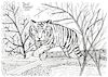 Cartoon: Tiger (small) by Pascal Kirchmair tagged predator,raubkatze,predateur,felin,felino,fauve,predador,predatore,tiger,tigre,big,cat,cats,katzen,gatos,gatti,chats,illustration,ink,drawing,zeichnung,pascal,kirchmair,cartoon,caricature,karikatur,ilustracion,dibujo,desenho,disegno,ilustracao,illustrazione,illustratie,dessin,de,presse,tekening,teckning,cartum,vineta,comica,vignetta,caricatura,tusche,tuschezeichnung