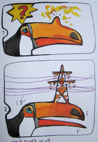 Cartoon: New toucan problem (medium) by Kestutis tagged brazil,amazon,worldwide,wave,kestutis,lithuania