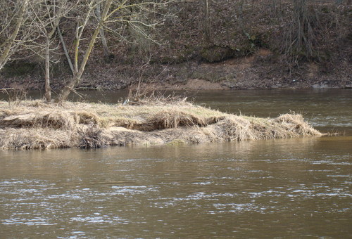 Cartoon: Water! (medium) by Kestutis tagged water,march,bird,crocodile,elephant,kestutis,lithuania,spring,nature,river