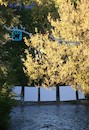 Cartoon: Hello! Autumn in Vilnius. (small) by Kestutis tagged observagraphics,hello,vilnius,autumn,kestutis,lithuania