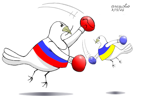 Cartoon: Duel of different peace doves (medium) by Cartoonarcadio tagged peace,doves,ukraine,russia,dialogue