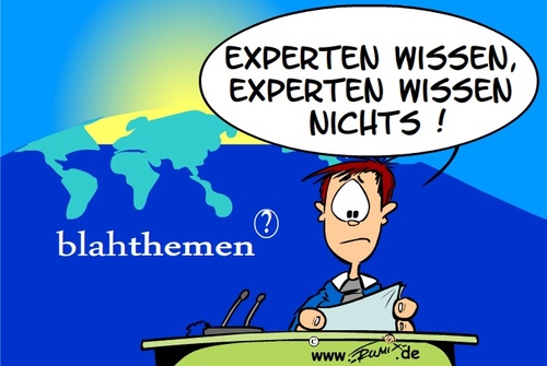 Experten Meinung