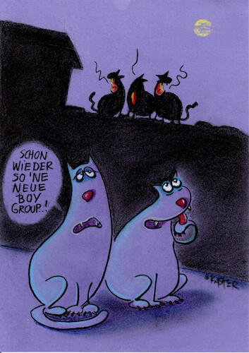 Cartoon: Boygroup (medium) by Petra Kaster tagged musik,katzen,boygroups,katzenmusik,medien,musikbuisiness,nacht,musik,katzen,boygroups,katzenmusik,medien,musikbuisiness,nacht