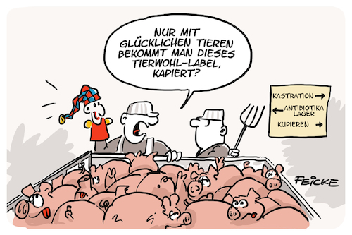 Cartoon: Glückliche Tiere (medium) by FEICKE tagged tier,tierwohl,label,umwelt,agrar,minister,klöcker,cdu,kennzeichen,massentierhaltung,tierschutz,tierquälerei,tier,tierwohl,label,umwelt,agrar,minister,klöcker,cdu,kennzeichen,massentierhaltung,tierschutz,tierquälerei