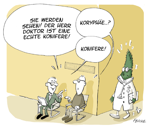 Cartoon: Konifere (medium) by FEICKE tagged arzt,doktor,baum,konifere,koryphäe,wortspiel,patient,arzt,doktor,baum,konifere,koryphäe,wortspiel,patient