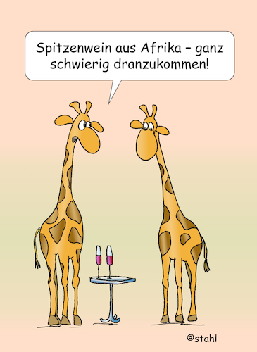 Wein aus Afrika