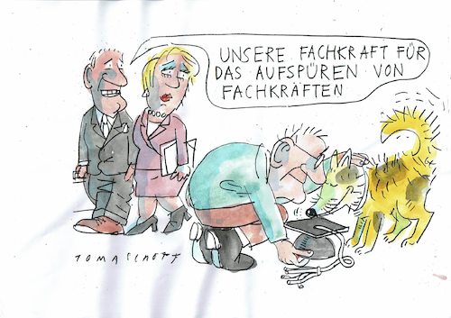 Fachkräfte