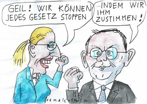 Cartoon: Gesetze (medium) by Jan Tomaschoff tagged chrupalla,weidel,afd,gesetze,chrupalla,weidel,afd,gesetze